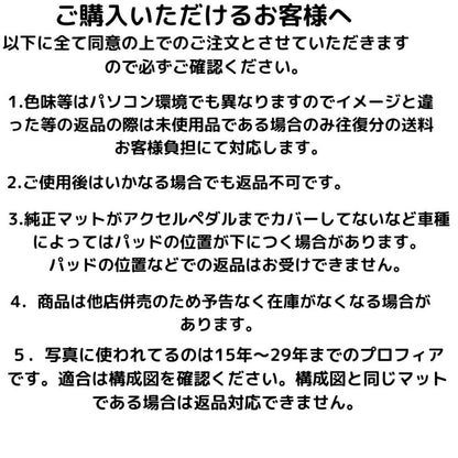 日野 プロフィア 運転席用 トラックマット 17/グランド/エアループ/テラヴィ対応 T-dust clean 汚れ防止 お掃除簡単 H4.7〜現行